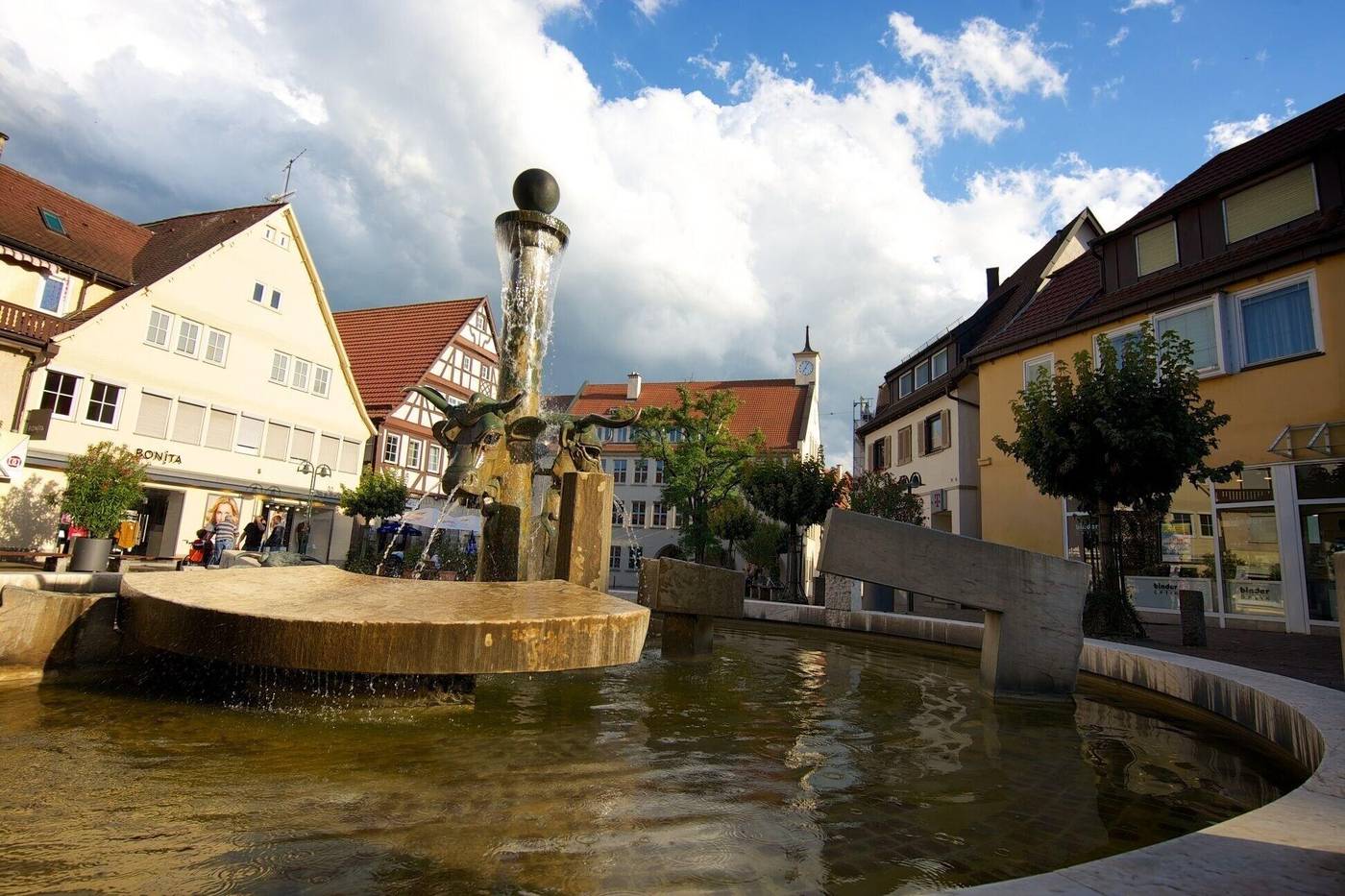 Hotel Reinhardtshof Garni-Germany-WOLFSCHLUGEN-General view-4