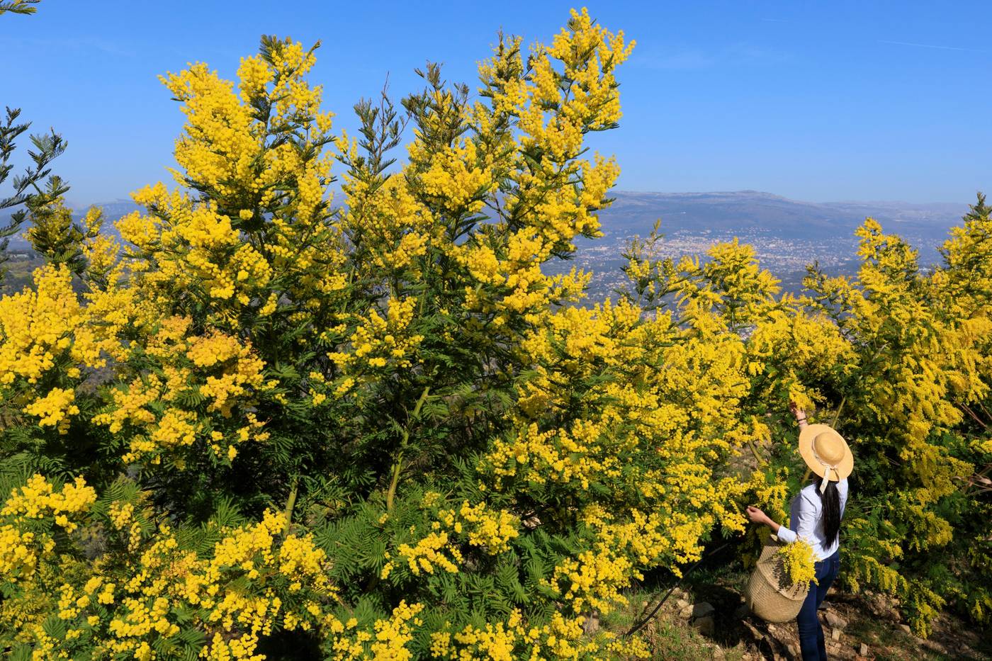 Club-Maintenon-General-view-67