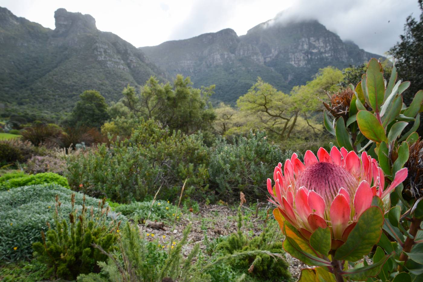 More-Quarters-Neighbourhood-Hotel-Sports-and-Entertainment-35