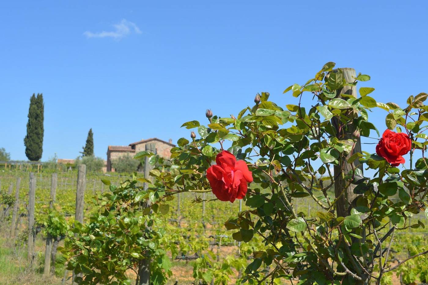 La-Caminata-General-view-28