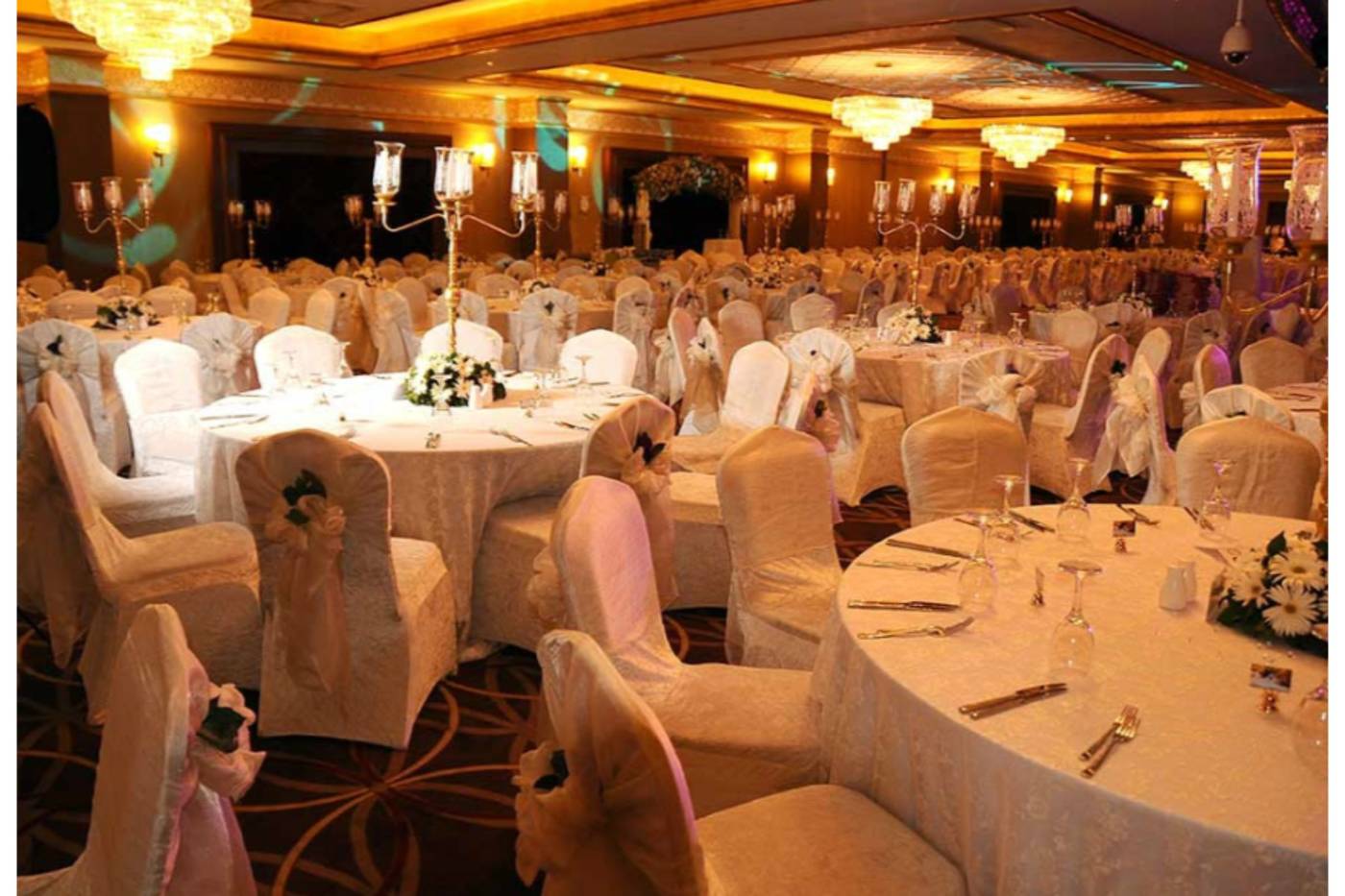 Well-Palace-Side-Conferences-58