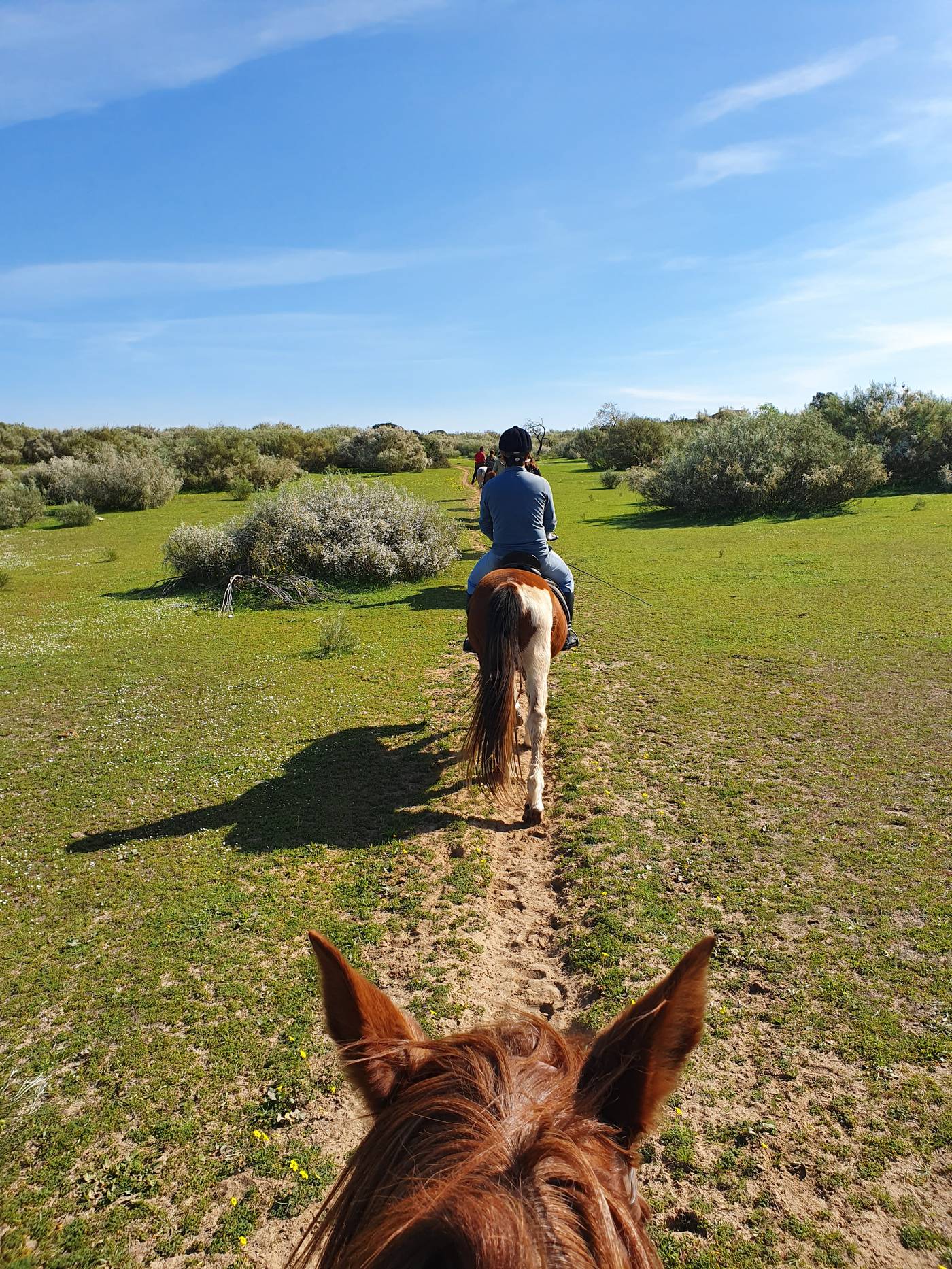 Quinta-Pedra-Dos-Bicos-Sports-and-Entertainment-55