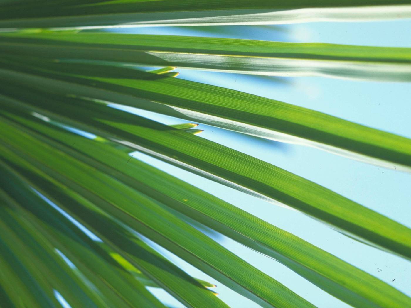 Novotel-Setubal-Room-73