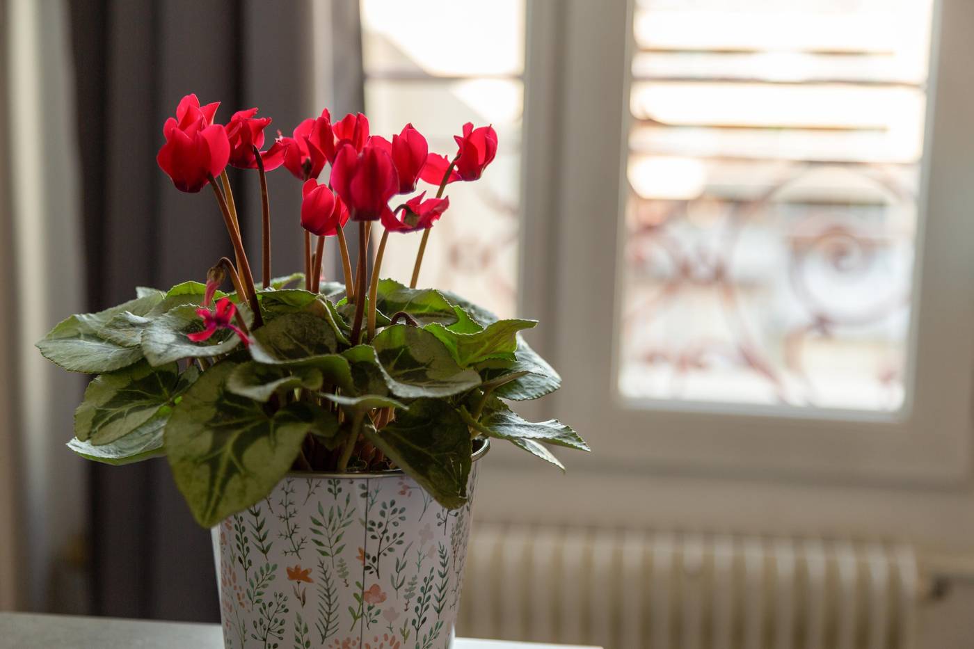 The-Originals-City--Hotel-Lecourbe--Paris-Room-24