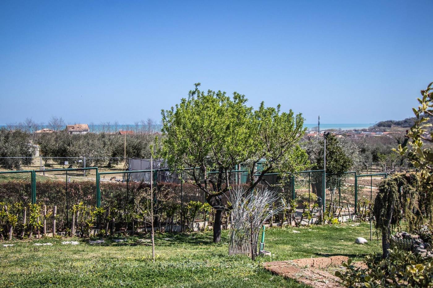 Villa Paola-Italy-FRANCAVILLA AL MARE-General view-4