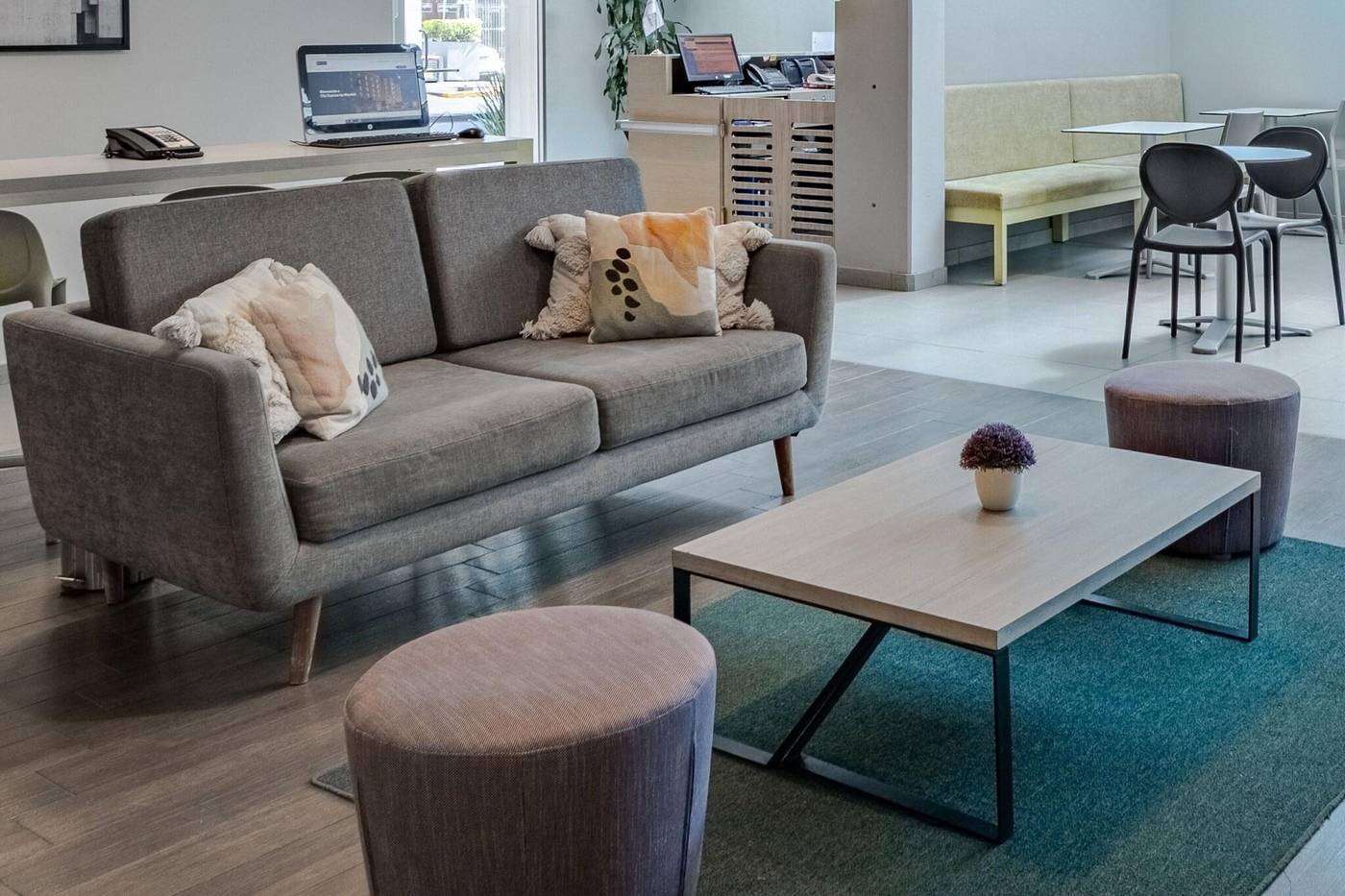 City Suites Anzures-Mexico-Ciudad De Mexico-Lobby-7