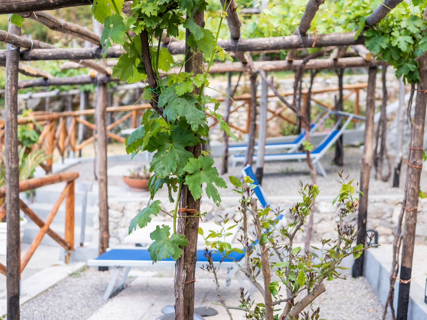Albergo-Diffuso-Bacco-Furore-Room-67