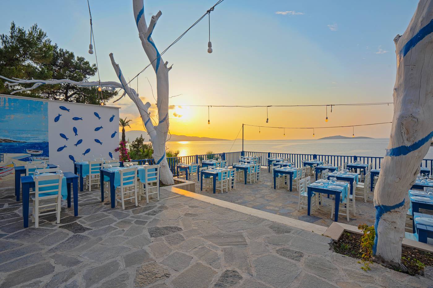 Blue Dreams Resort