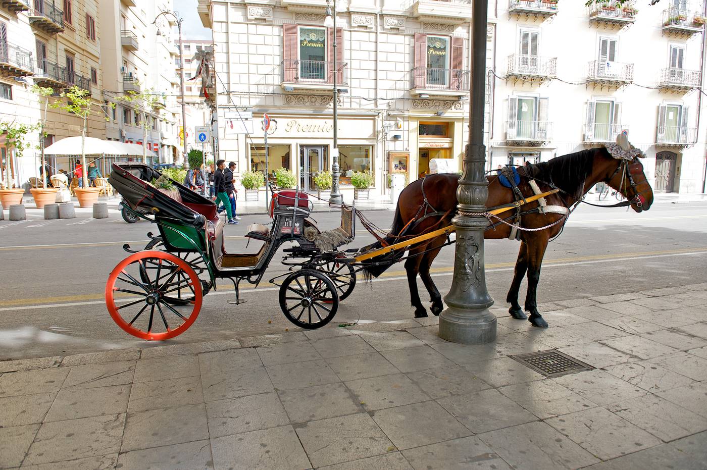 Mercure-Palermo-Centro-Sports-and-Entertainment-12