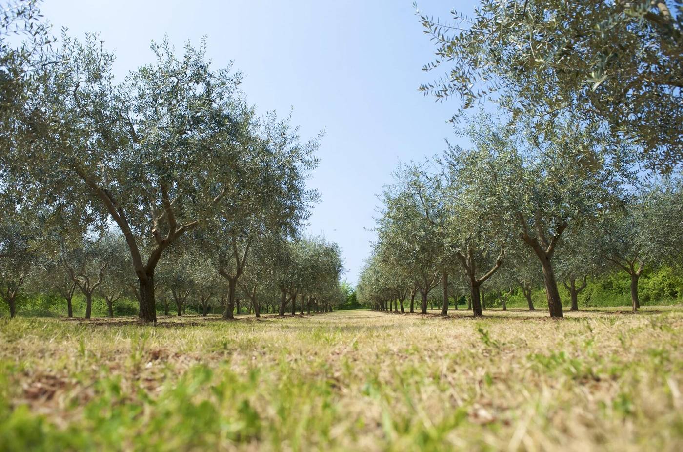 Rivalmare-Boutique-Hotel-General-view-54