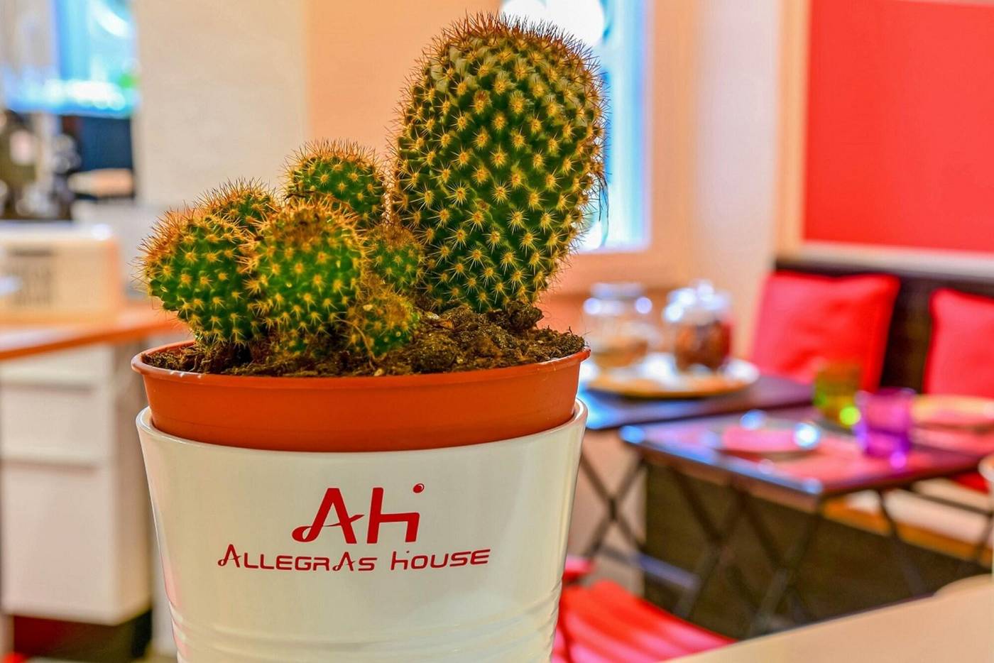 Allegras-House-Caracciolo-Lobby-20