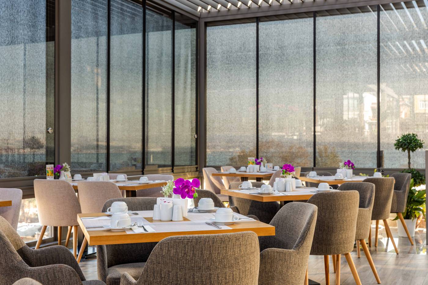 Amiral-Palace-Terrace-19