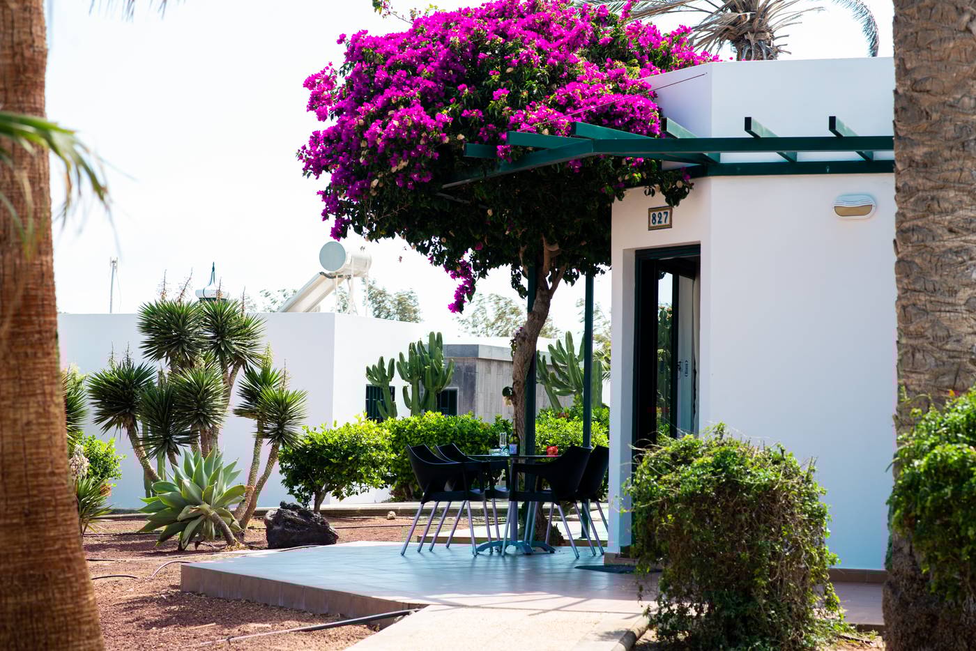 HL-Club-Playa-Blanca-Room-15