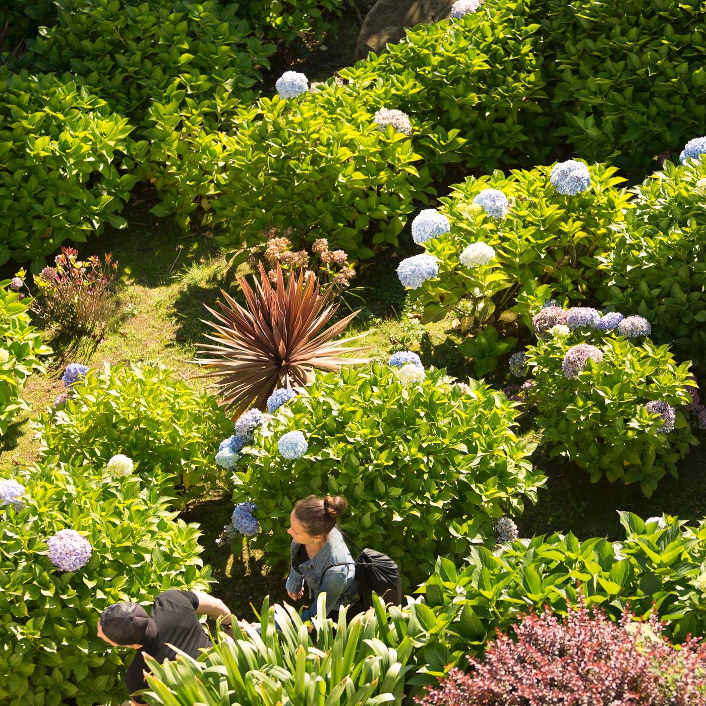 Cristina-General-view-50