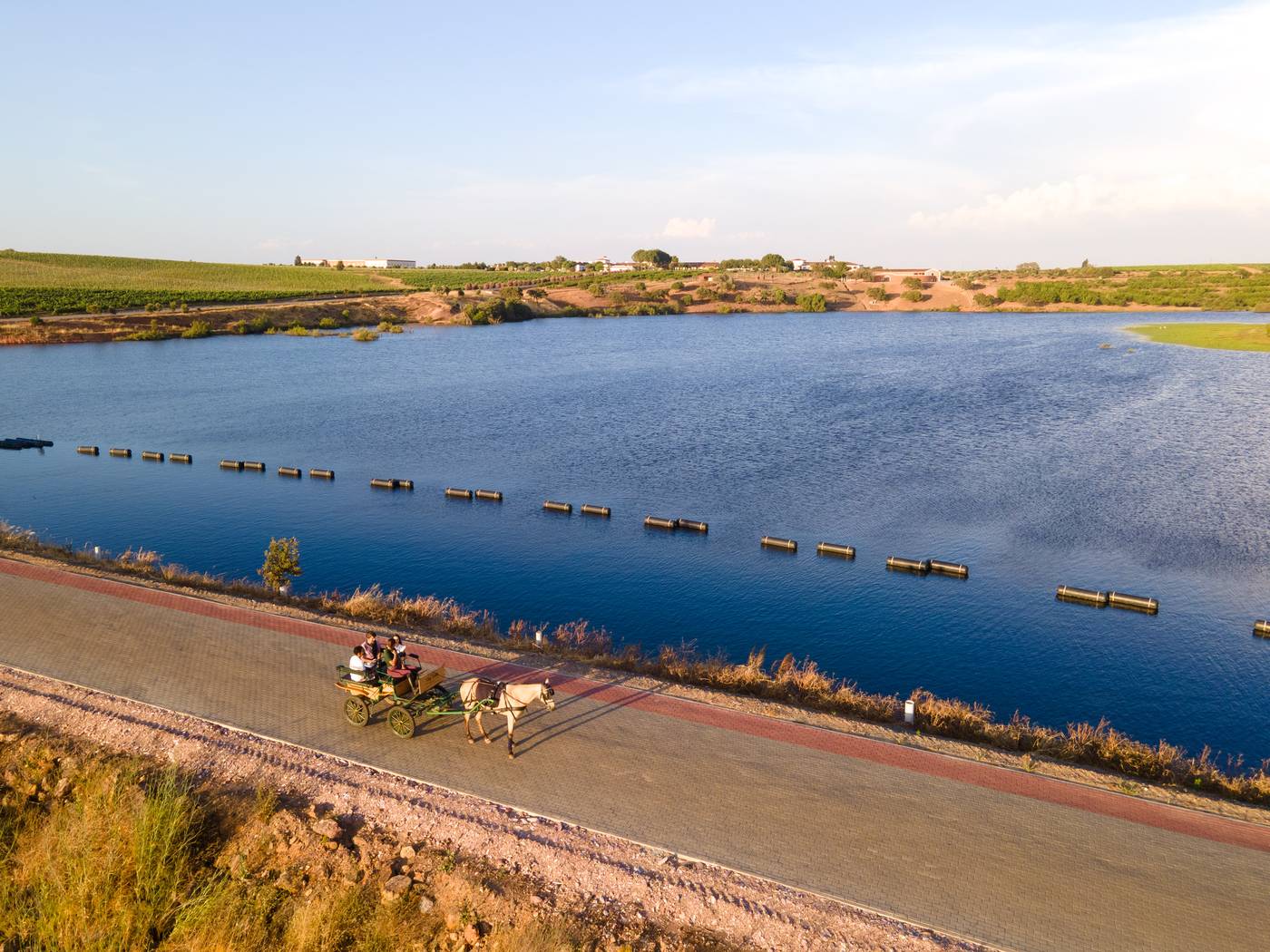 Vila Gale Alentejo Vineyards (Clube de Campo)-Portugal-BEJA-General view-2