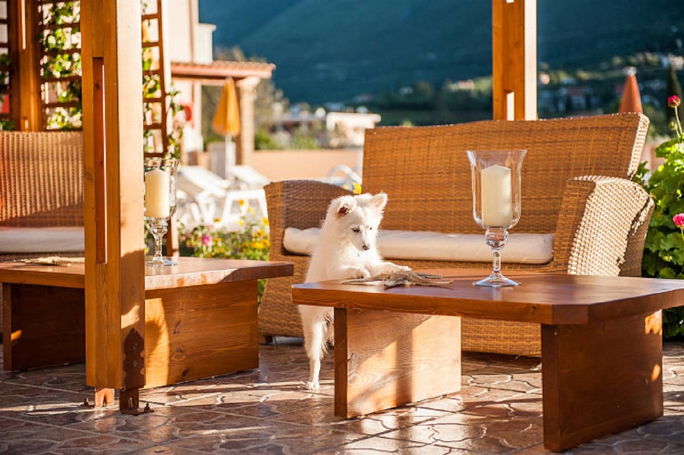 Clio-Aparthotel-Terrace-18