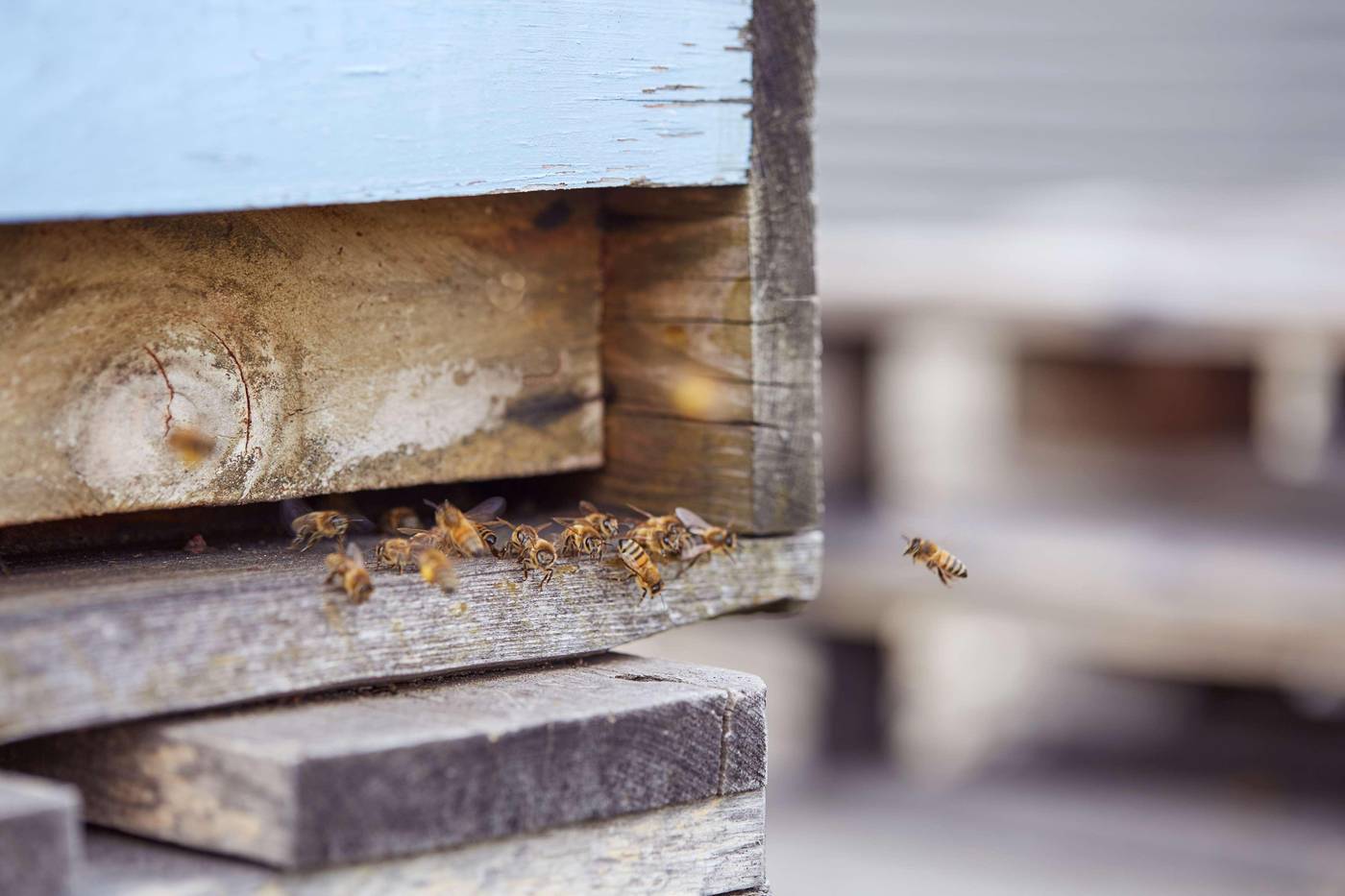 Scandic-Berlin-Potsdamer-Platz-General-view-66