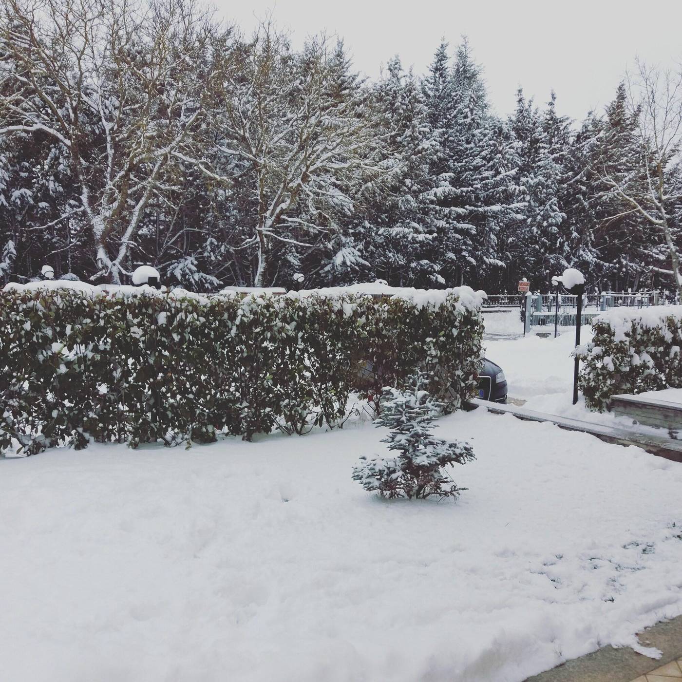 Affittacamere-Il-Boscaiolo-General-view-20