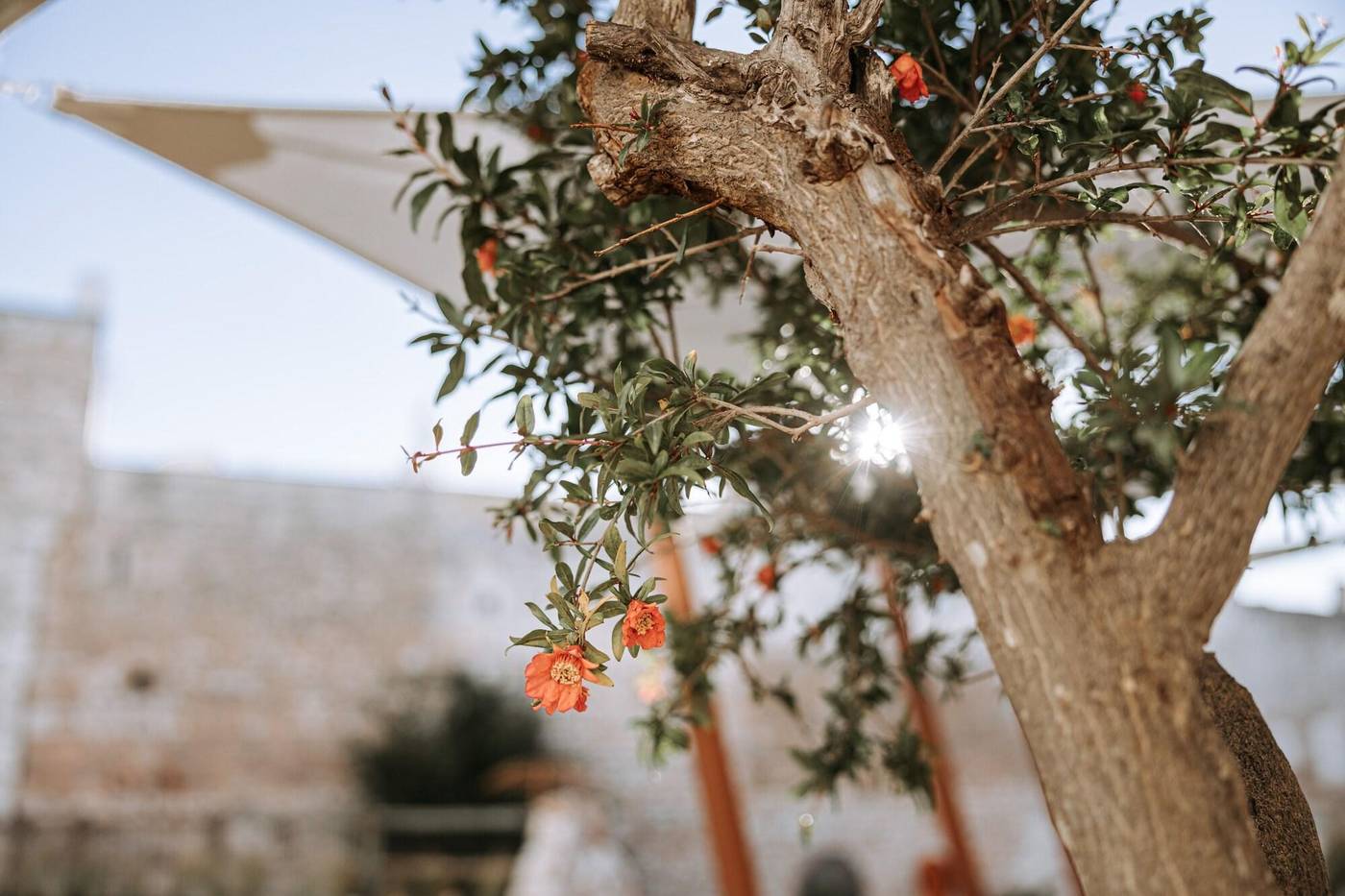Paragon 700 Boutique Hotel & SPA-Italy-OSTUNI-General view-4