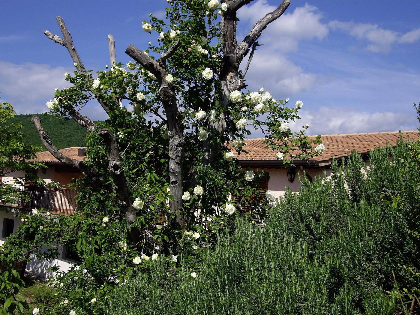 Country House Pro Vobis-Italy-ASSISI-General view-3