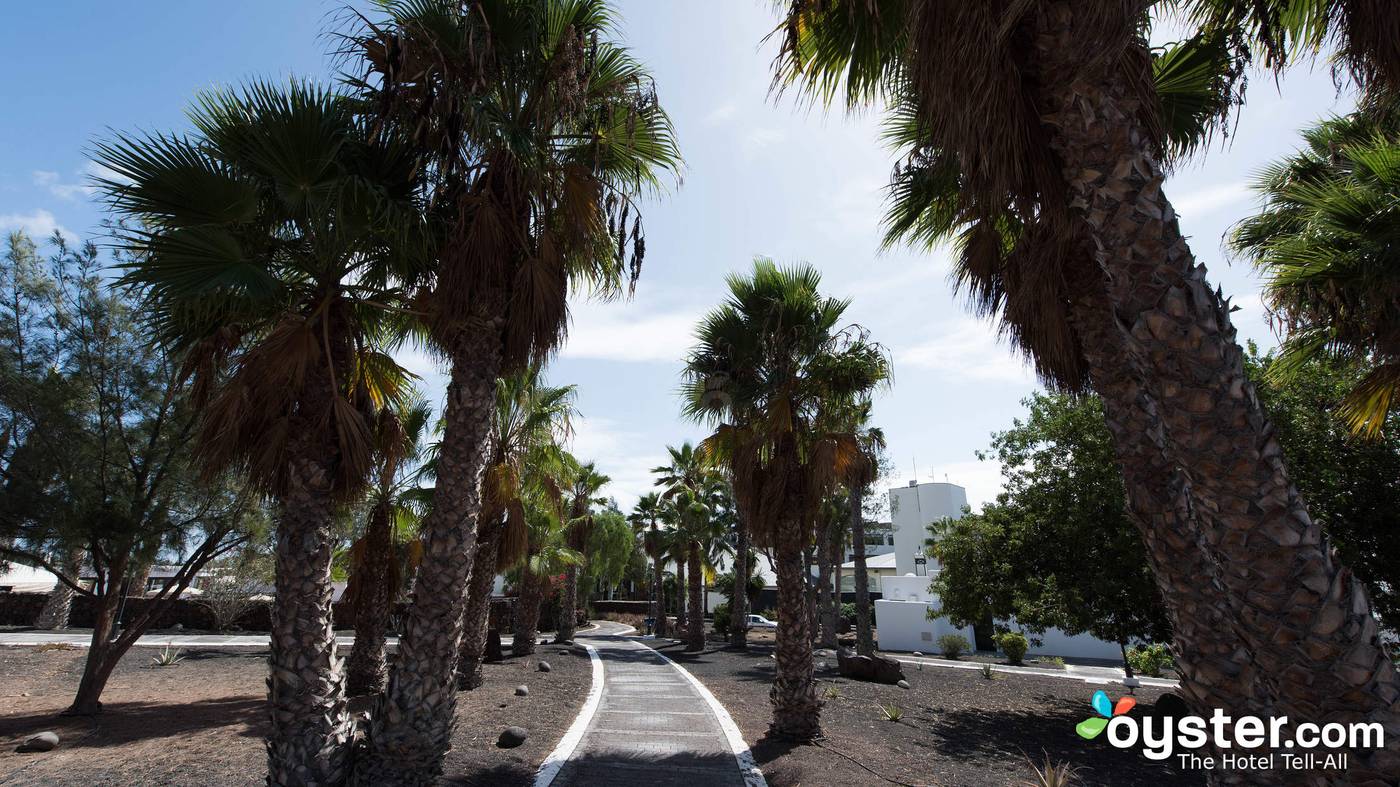 Palmeras-Garden-General-view-83