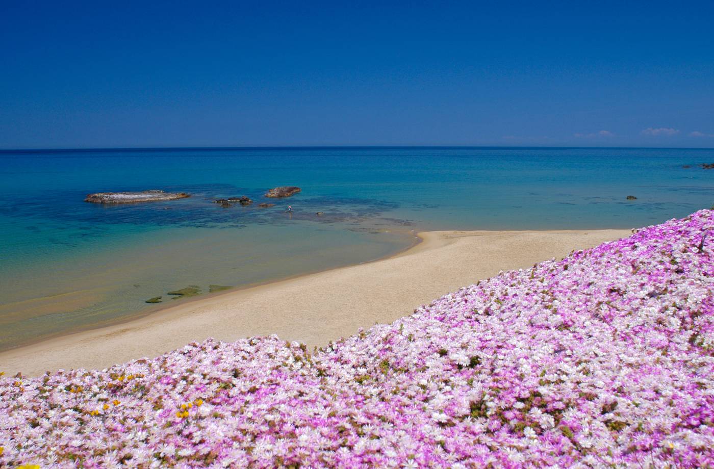 Hotel-Residence-Ampurias-Beach-23