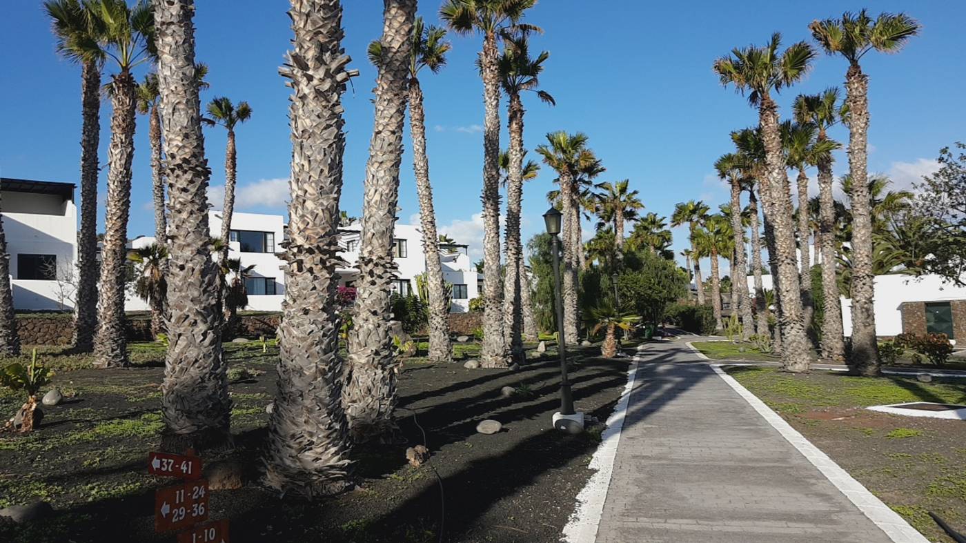 Palmeras-Garden-General-view-13