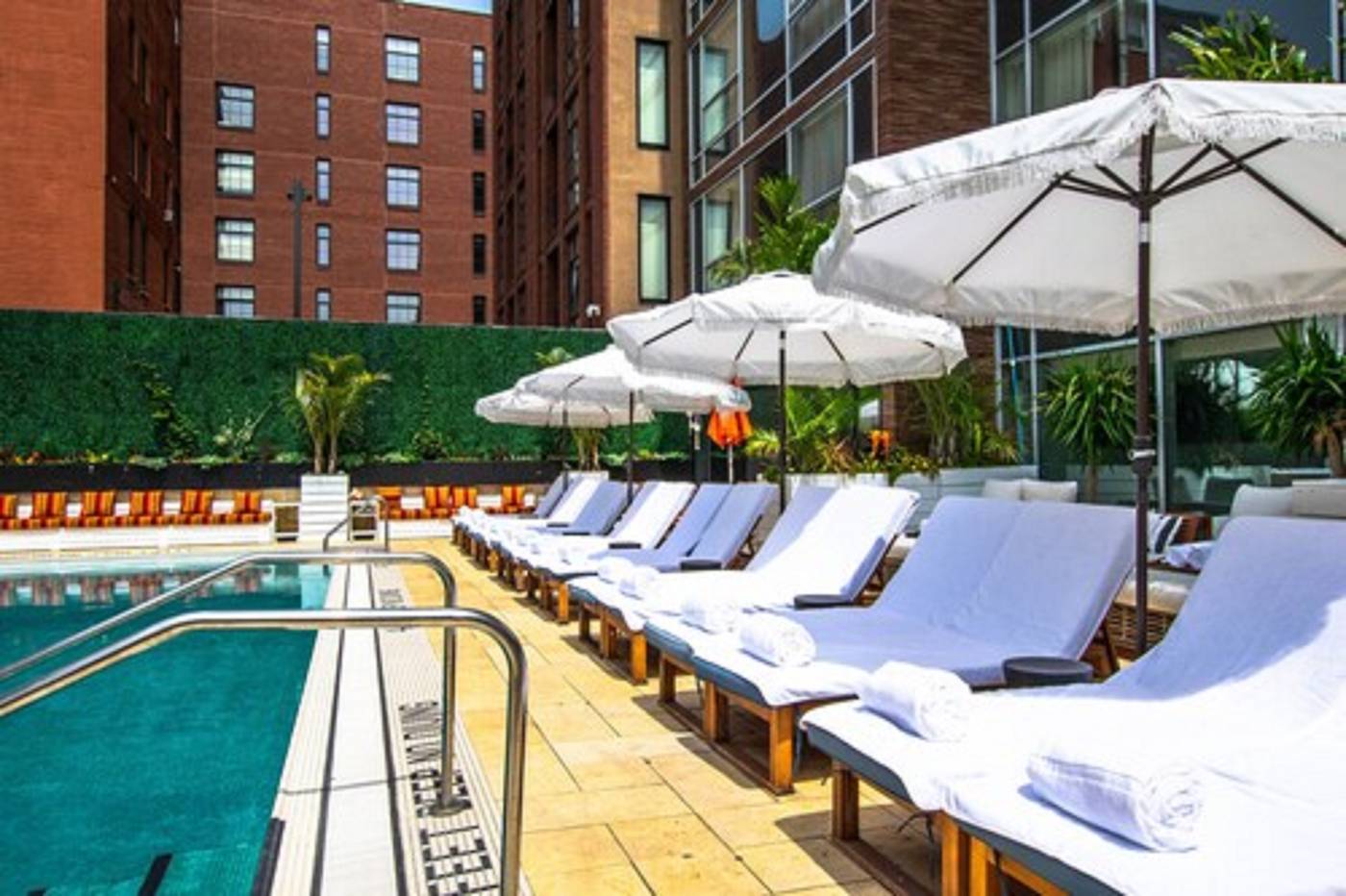 CODA-Williamsburg-Pool-50