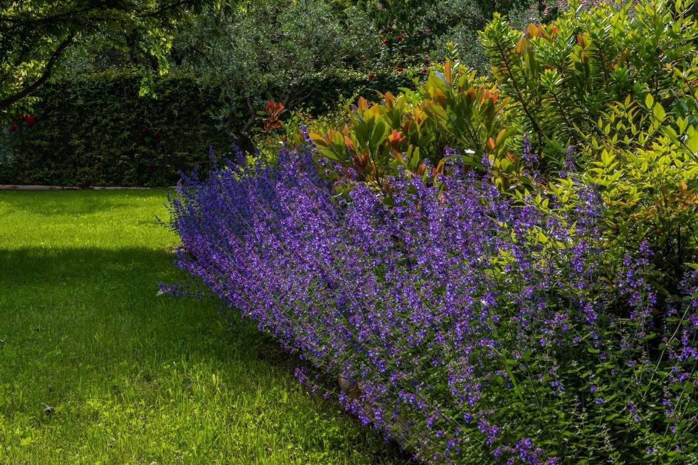 Relais-Corte-Rodeschi-General-view-49