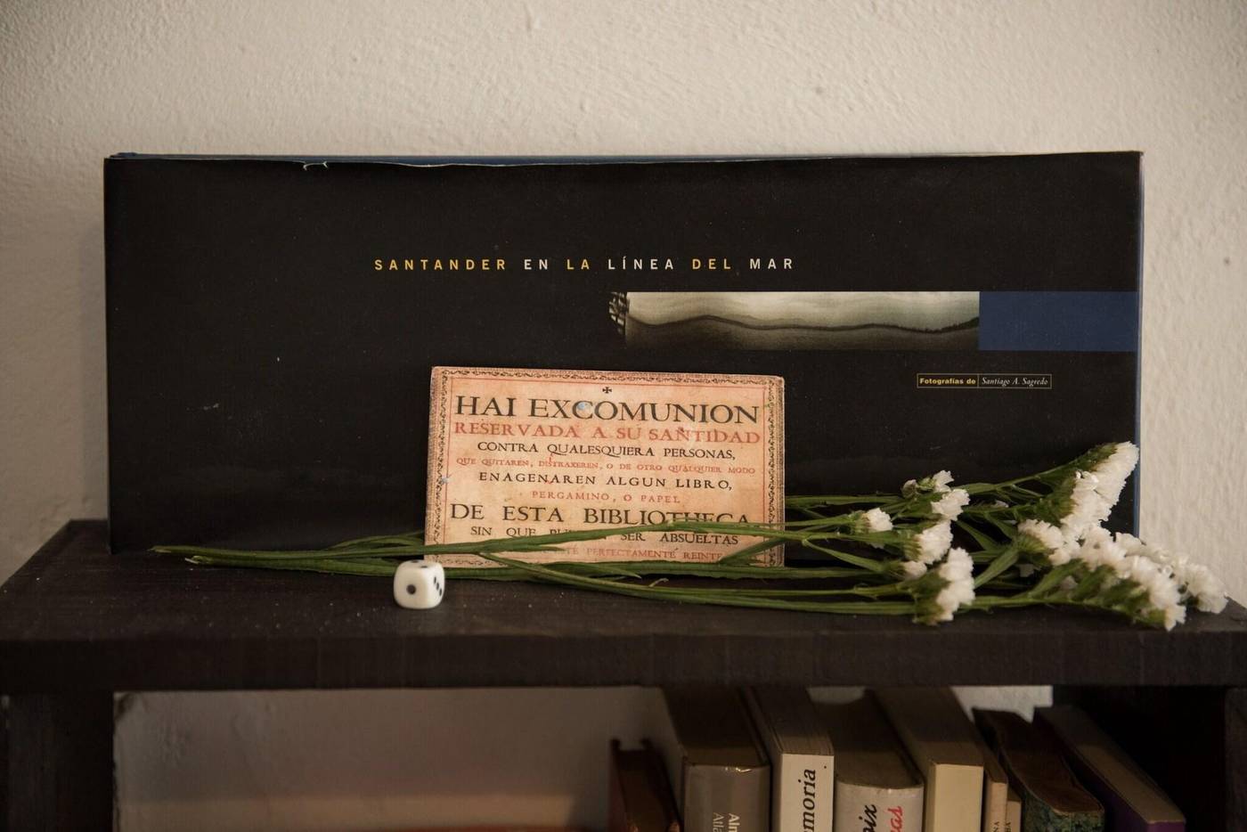 La Joyuca del Pas-Spain-MOGRO -General view-4