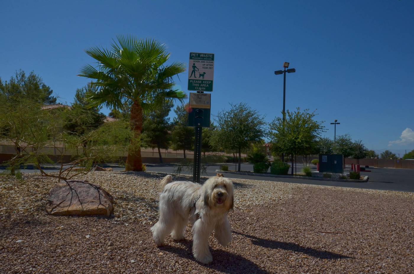Holiday Inn Express Las Vegas-Nellis-United States-Las Vegas-General view-1
