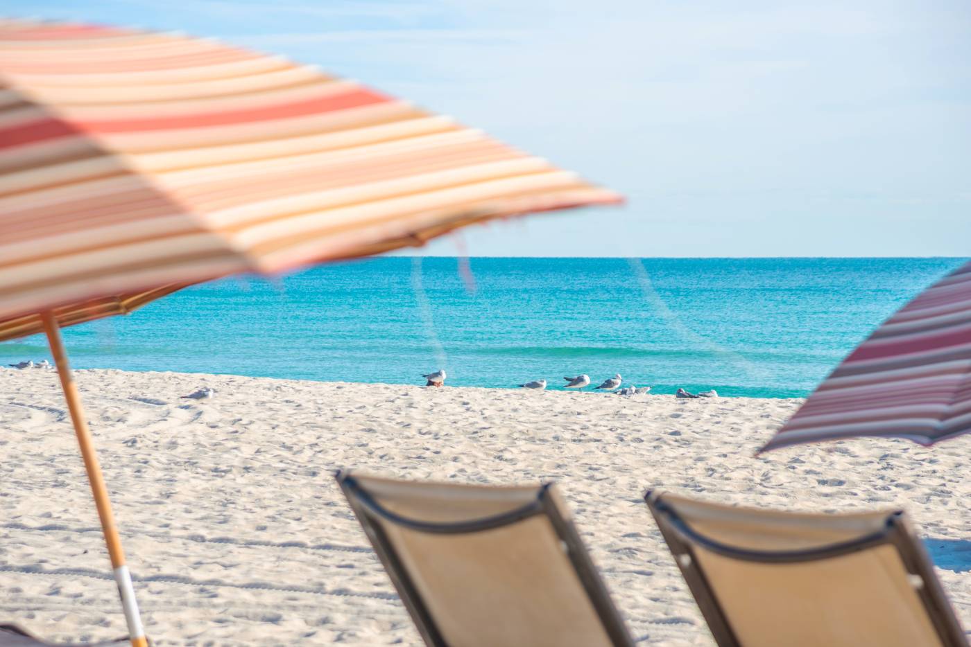 National Hotel, an Ocean Front Resort, Adults Only - United States - MIAMI BEACH - Beach - 3