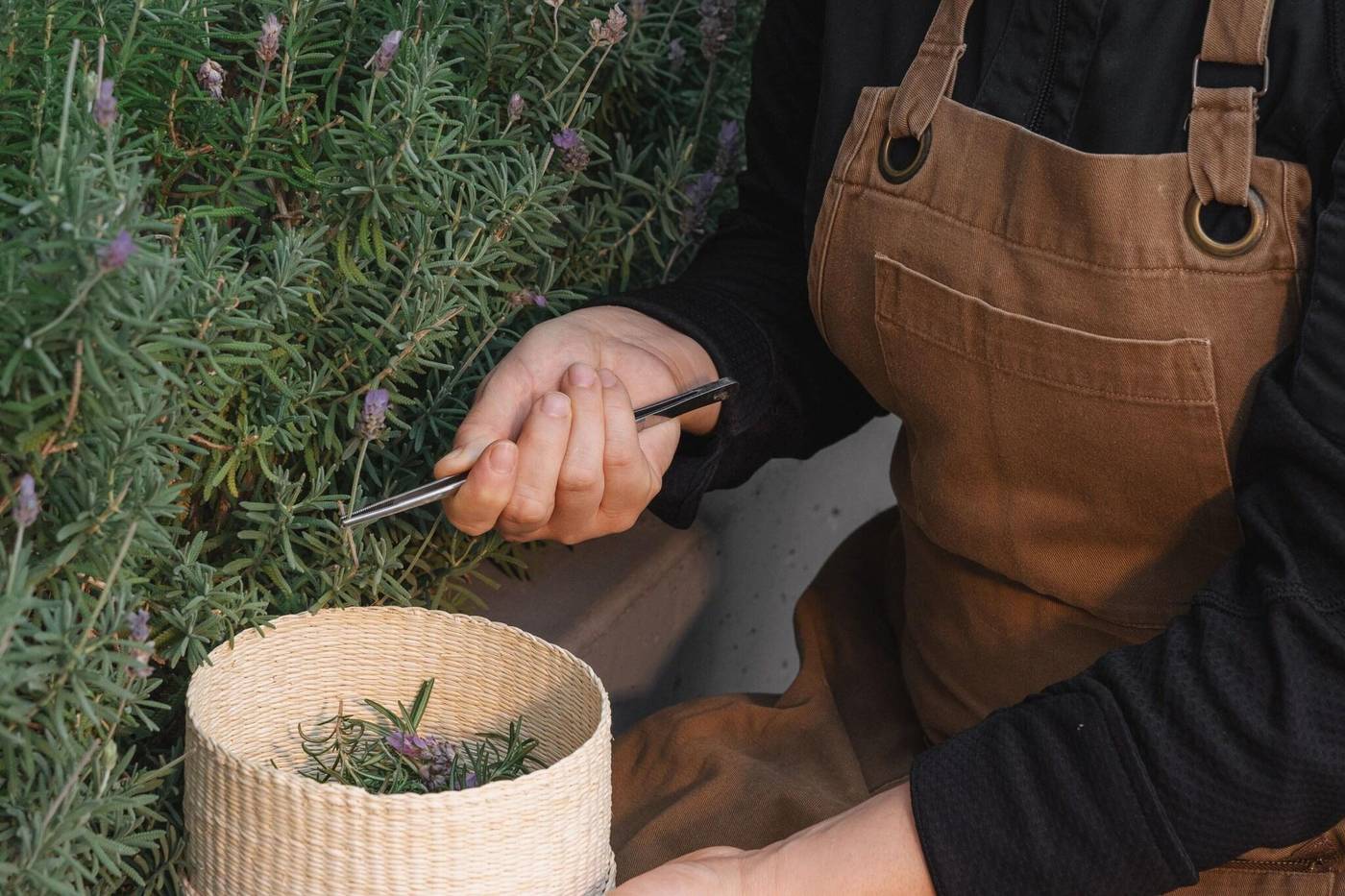 Jw Marriott Hotel Mexico City Polanco-Mexico-Mexico City-General view-1