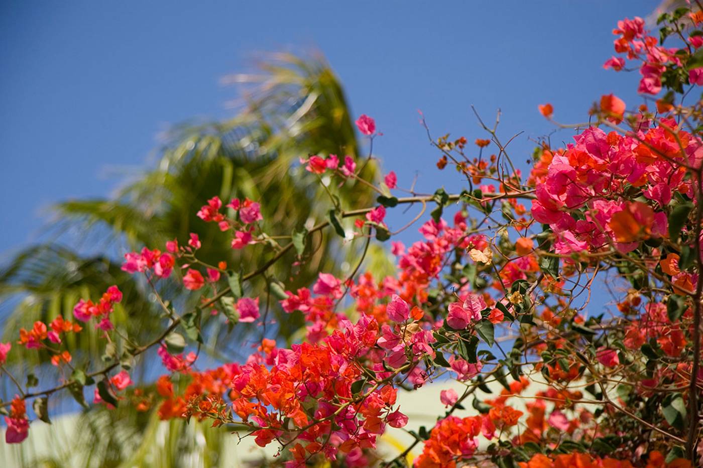 Esquinzo-Monte-del-Mar-Terrace-18