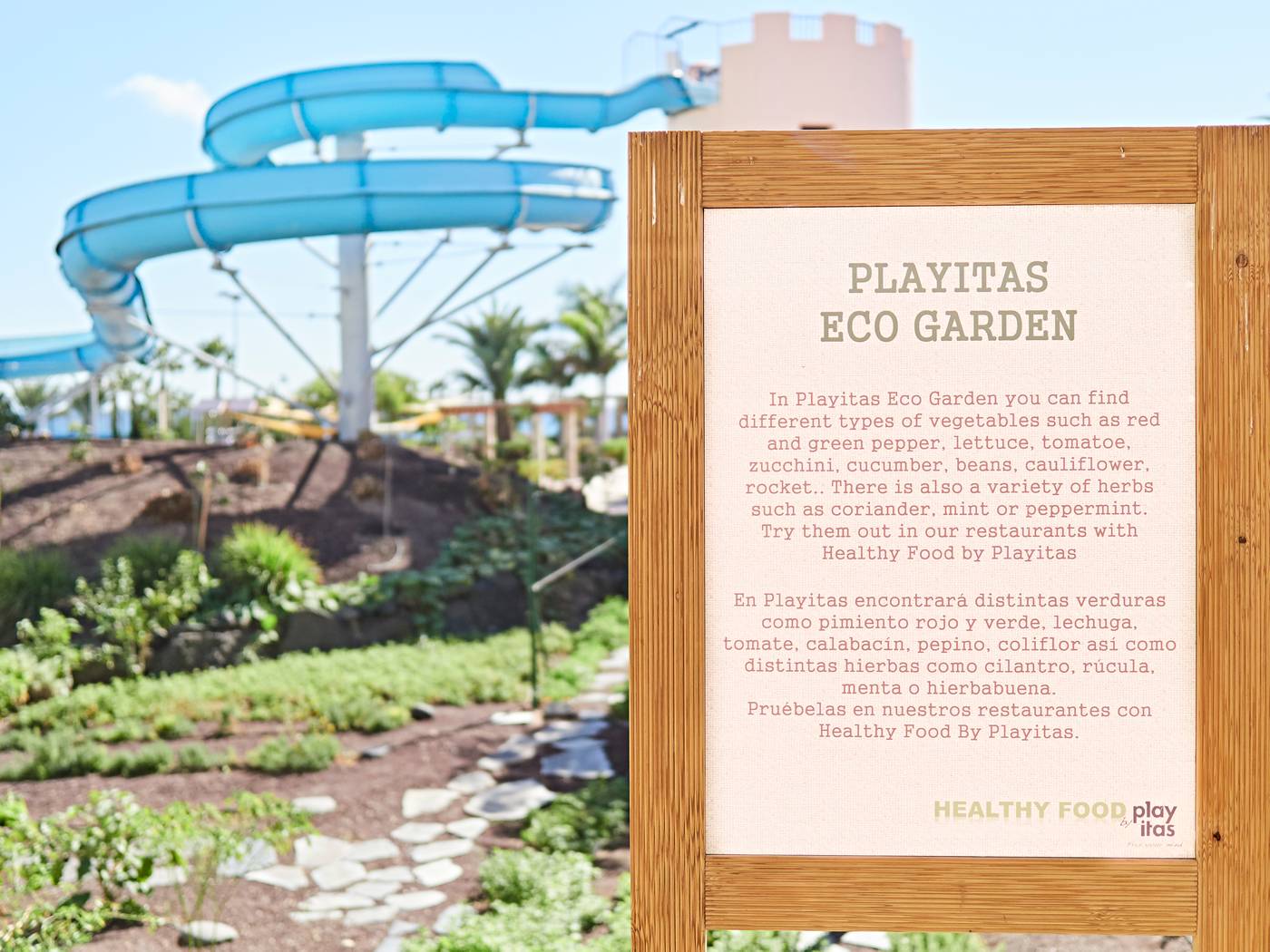 Playitas-Hotel-Sports-and-Entertainment-22