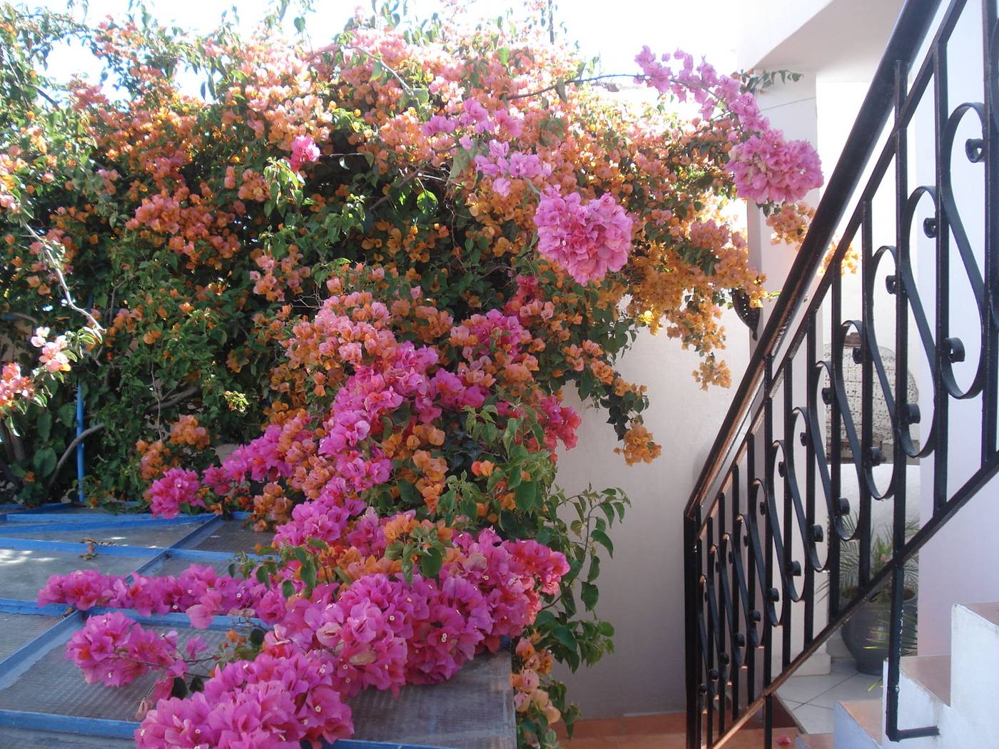 Marlinea-Morocco-SALE-General view-7