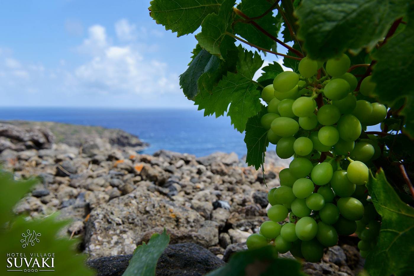 Suvaki-Resort-Sports-and-Entertainment-30