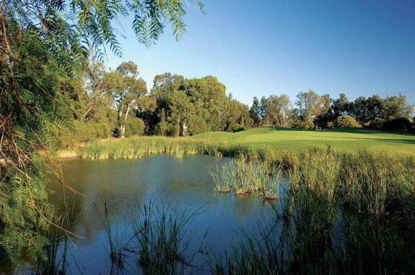 Le-Meridien-Penina-Golf---Resort-Sports-and-Entertainment-78