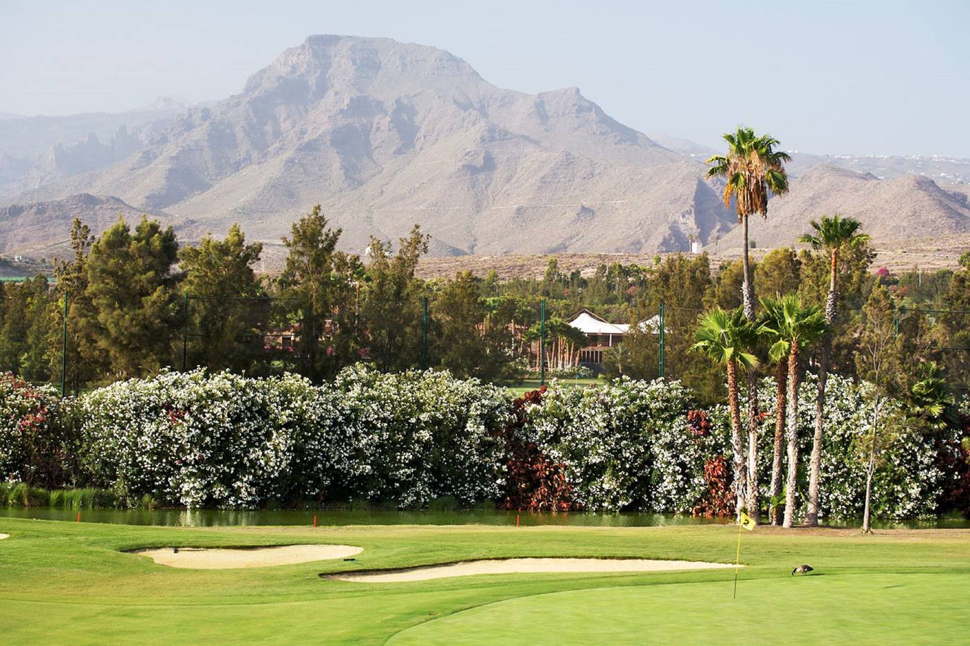 Coral-Compostela-Beach-Golf-Apartments-Sports-and-Entertainment-12