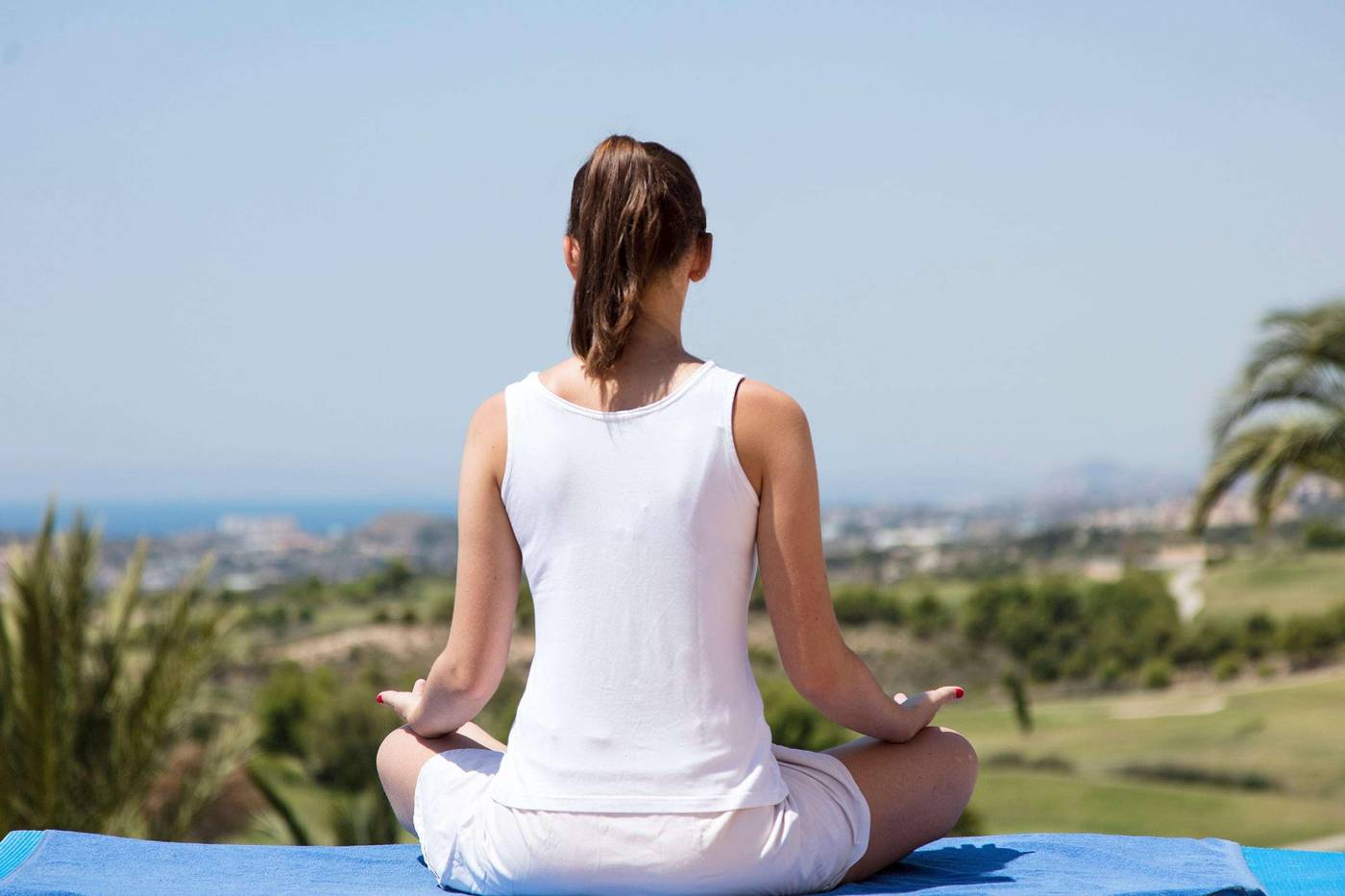 The-Level-At-Melia-Villaitana-General-view-111