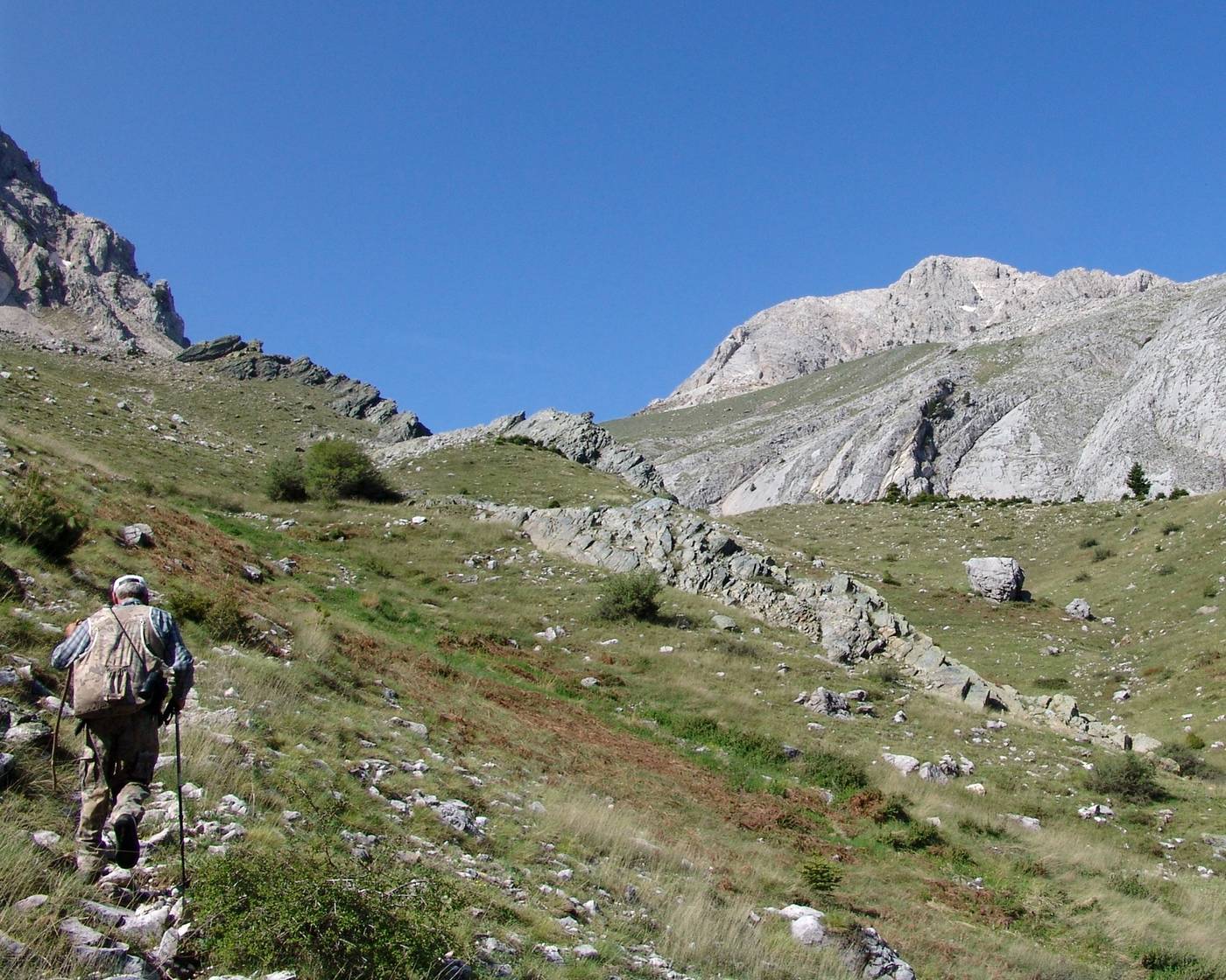 Tsokas-Sports-and-Entertainment-46