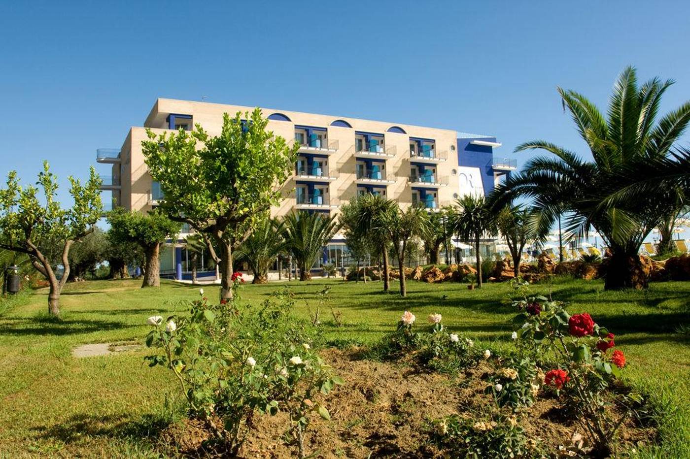 Roses-General-view-2