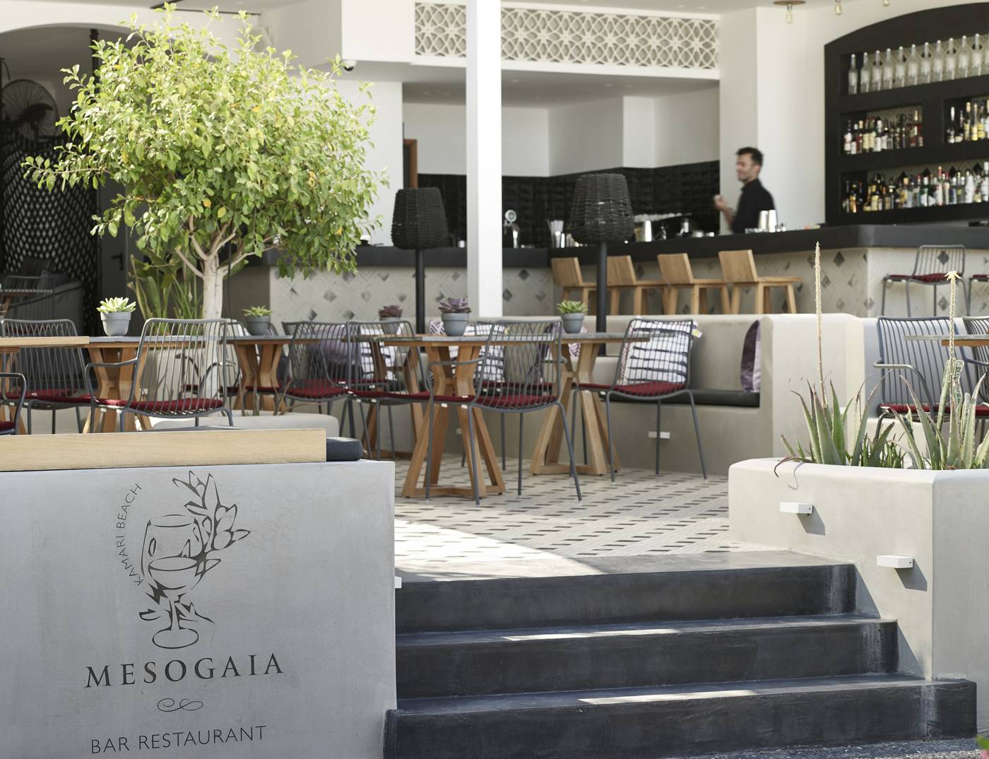 Afroditi-Venus-Bar-24