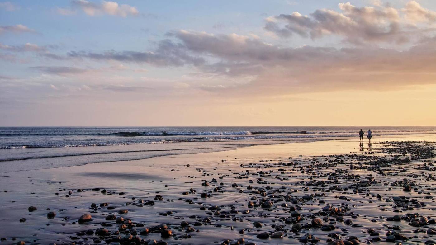 Strelitzias-Beach-28