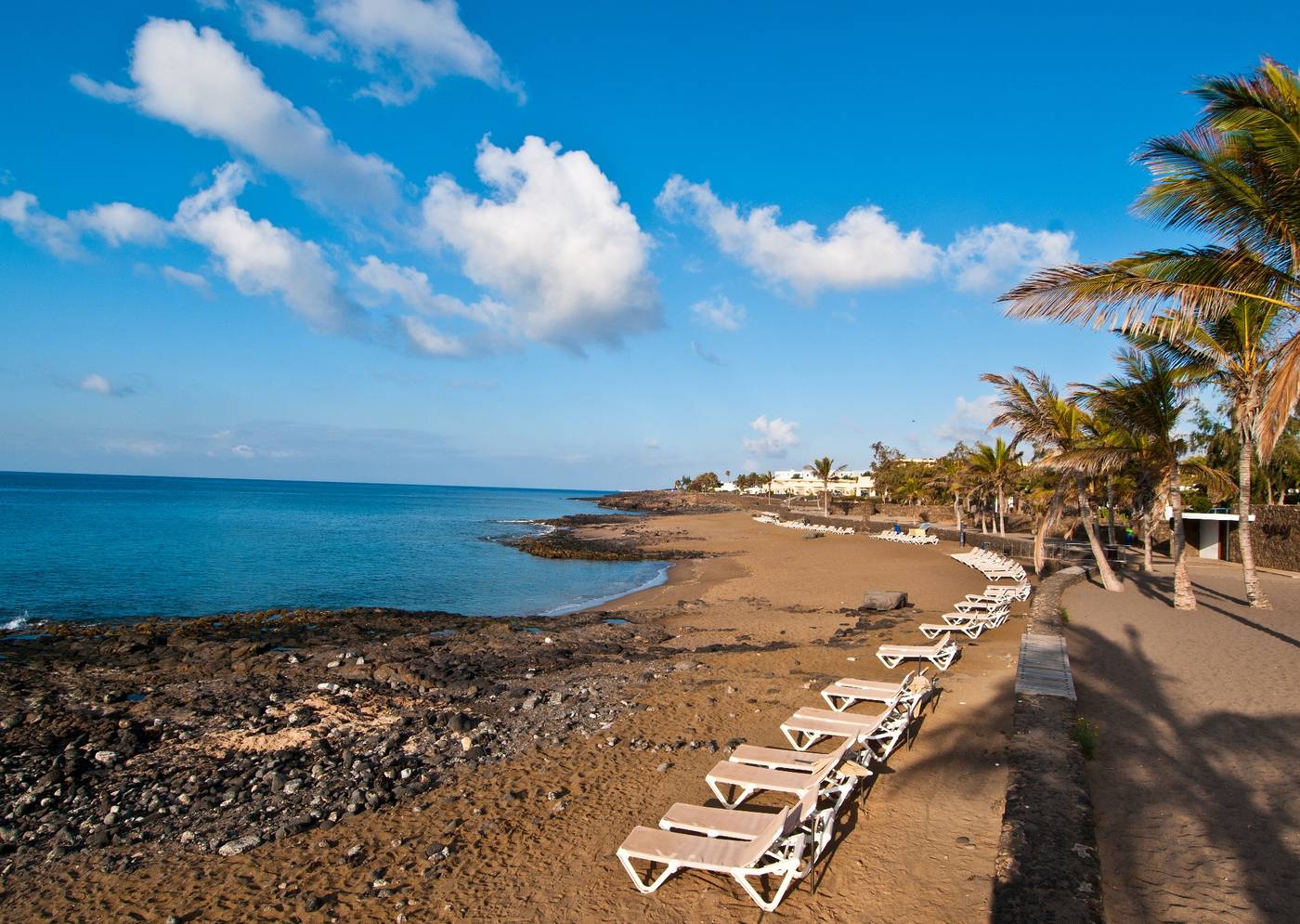 Camel-Spring-Beach-37