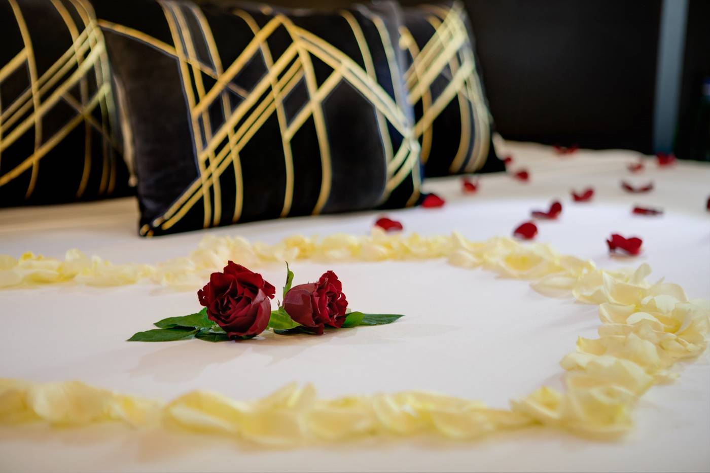 Dharma-Boutique-Hotel---Spa-Room-28