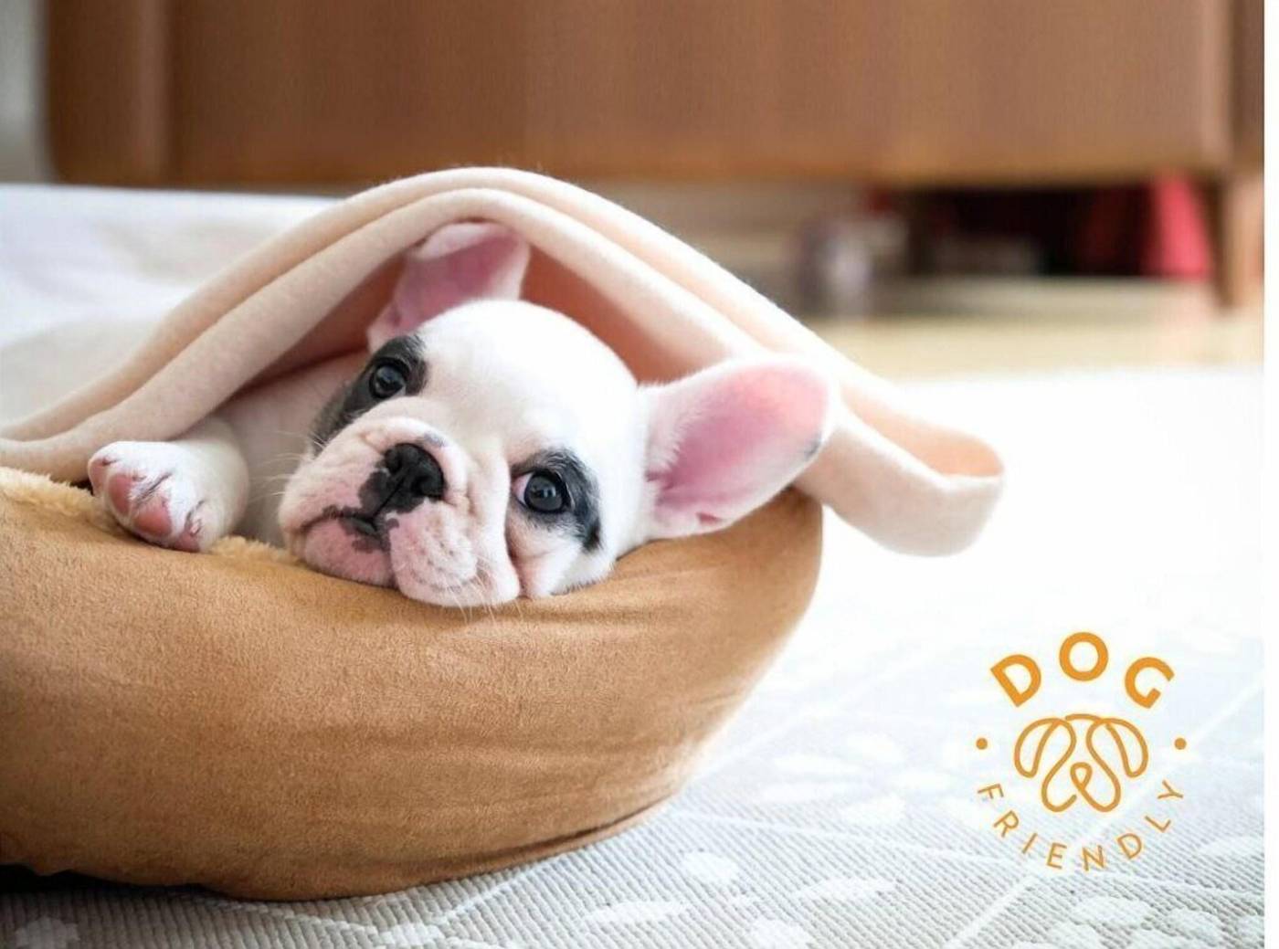 Fiesta Americana Mexico Toreo-Mexico-NAUCALPAN DE JUAREZ-General view-2