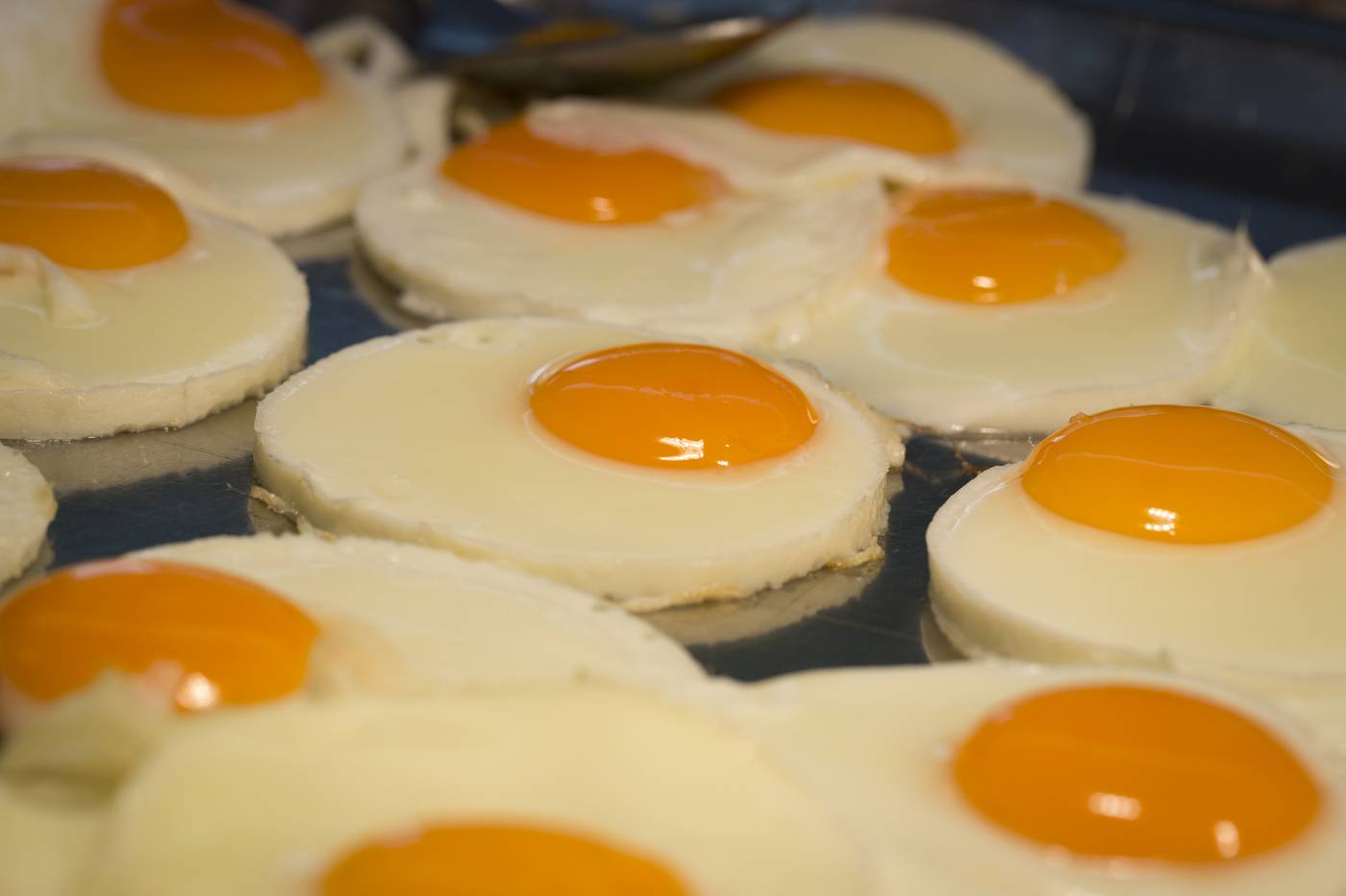 Baia-Cristal-Beach---Spa-Resort-Restaurant-50