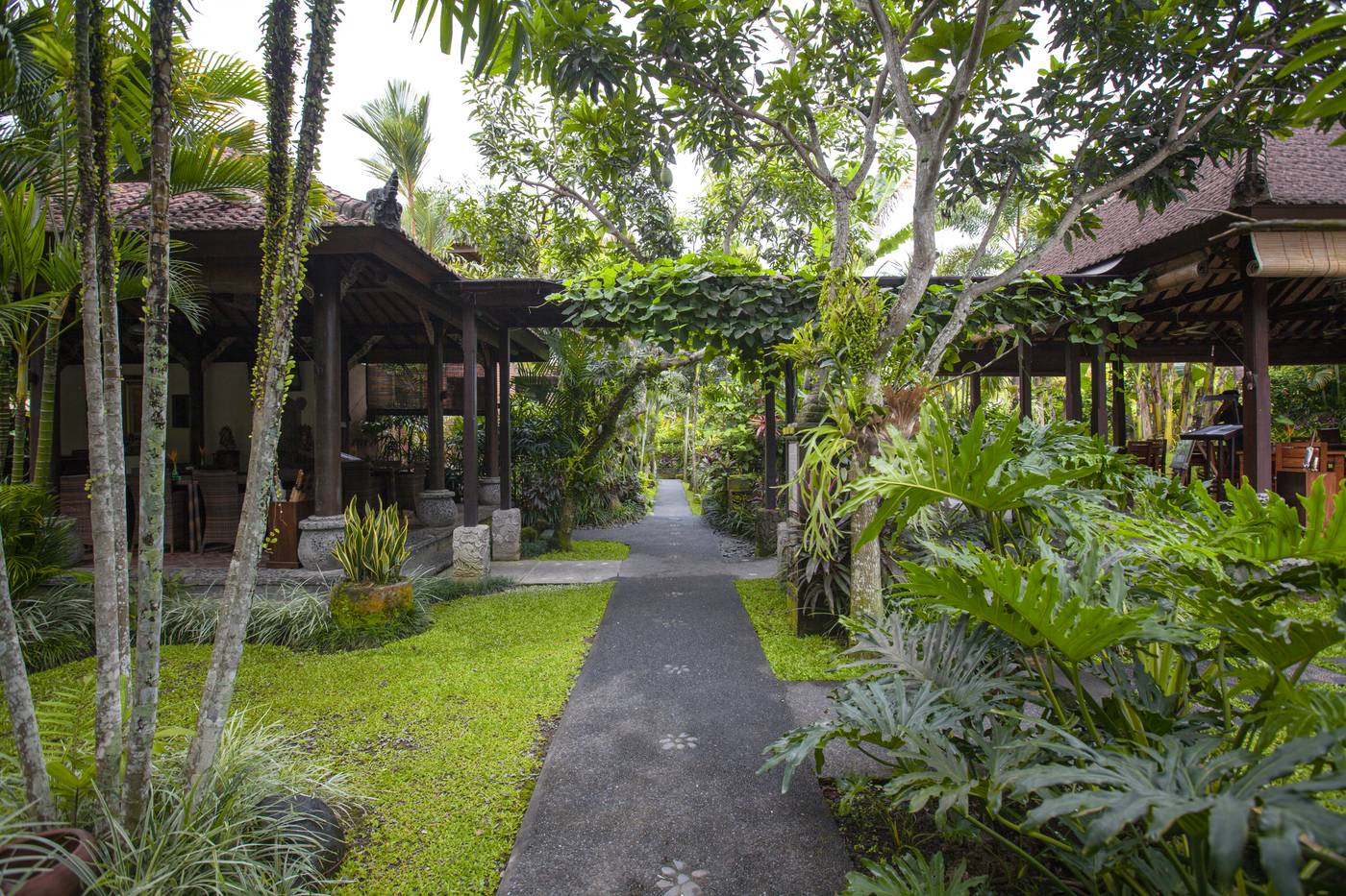 Bebek Tepi Sawah Restaurant & Villas-Indonesia-UBUD-General view-1