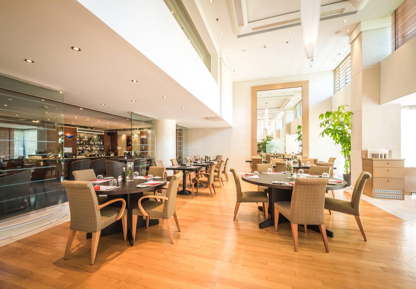 Golden-Age-of-Athens-General-view-25